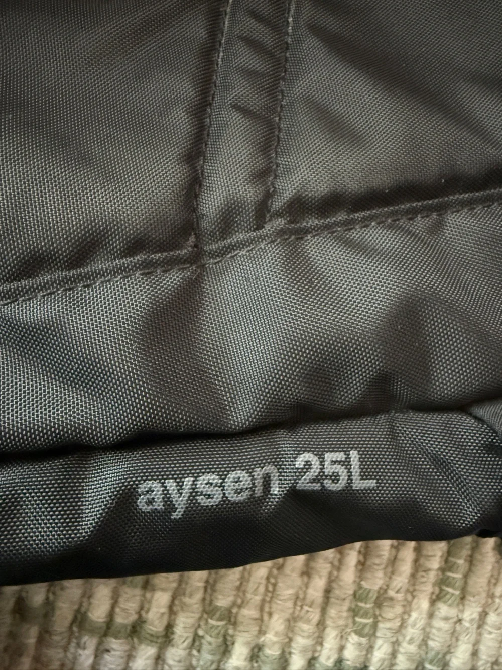Patagonia 25L Backpack